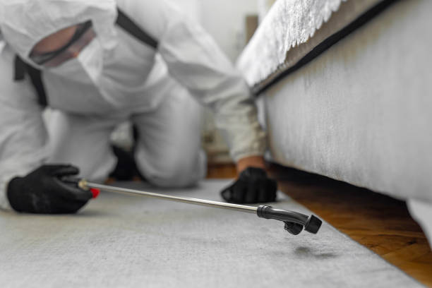 Professional Cockroach Control technician working in Canton, MS