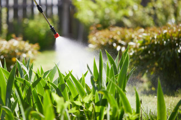 24/7 Emergency Cockroach Control experts in Canton, MS
