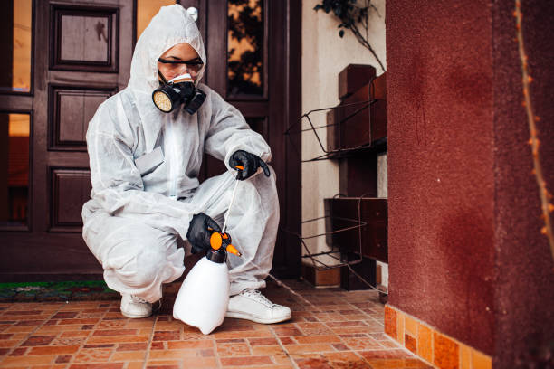 Reliable Cockroach Control contractor in Canton, MS by Nex Pest Control